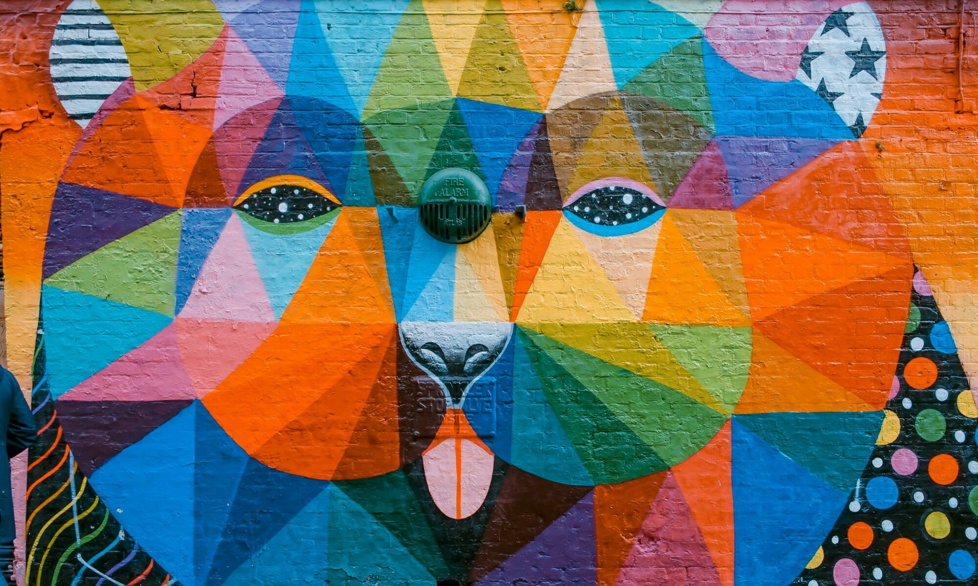 Colorful lion's face